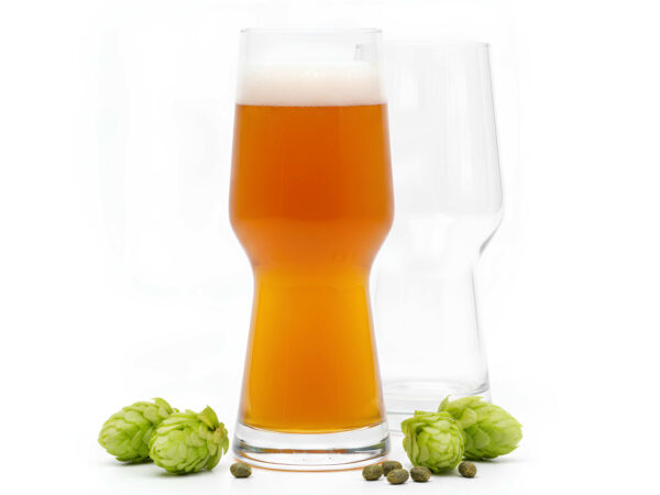 14.5 ounce IPA craft beer glass.